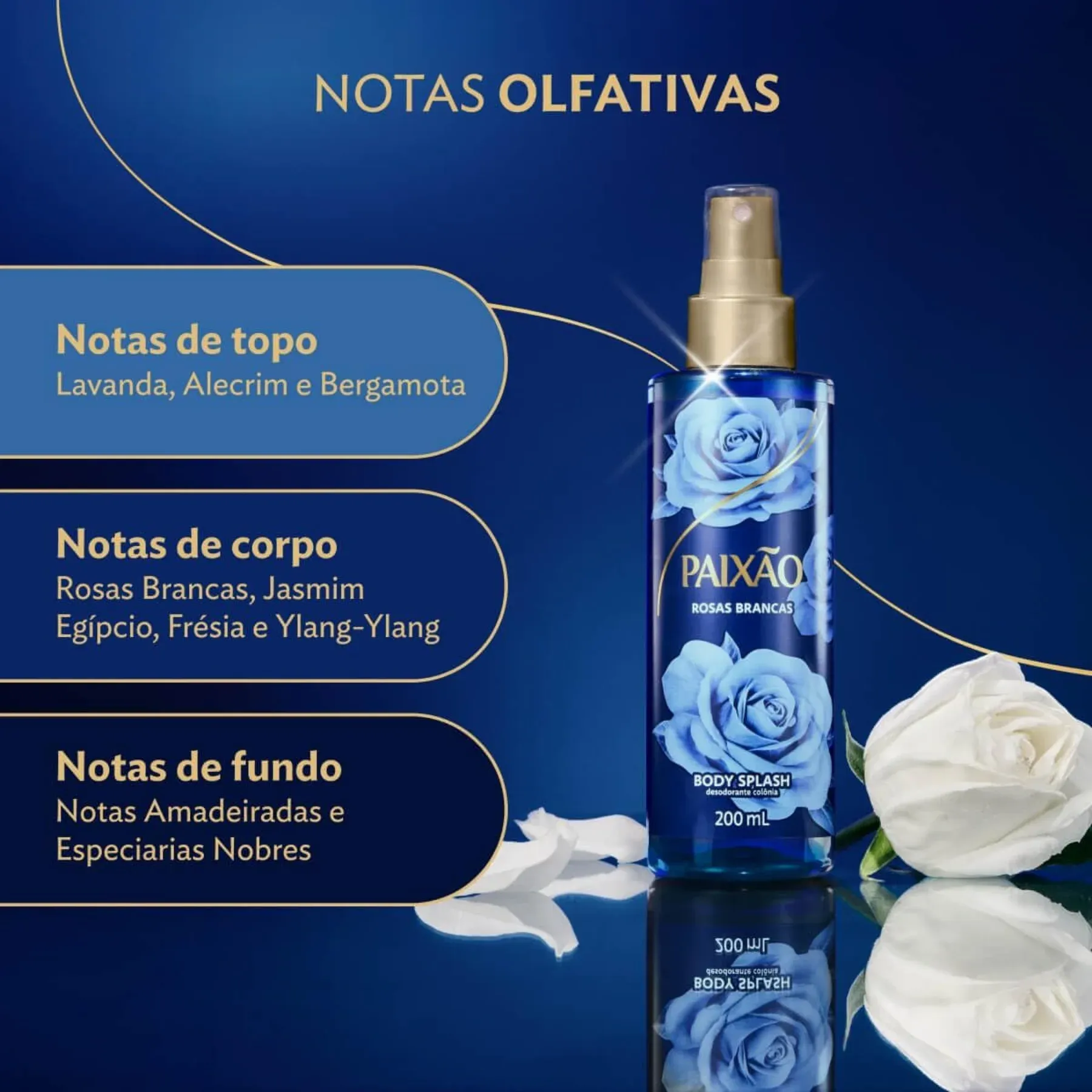 BODY AZUL -2-